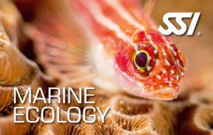 SSI_MarineEcology
